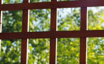 Come scegliere frangivento e grigliati 1378 0 Come scegliere frangivento e grigliati_ok